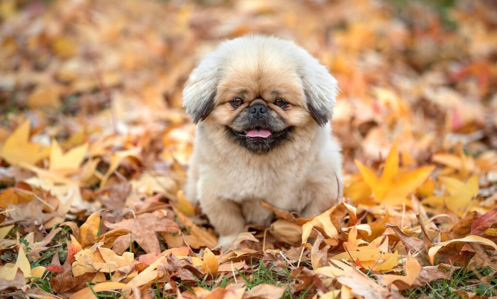 既読無視を解消するための電話占い相談はどうすればいい？