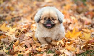 既読無視を解消するための電話占い相談はどうすればいい？